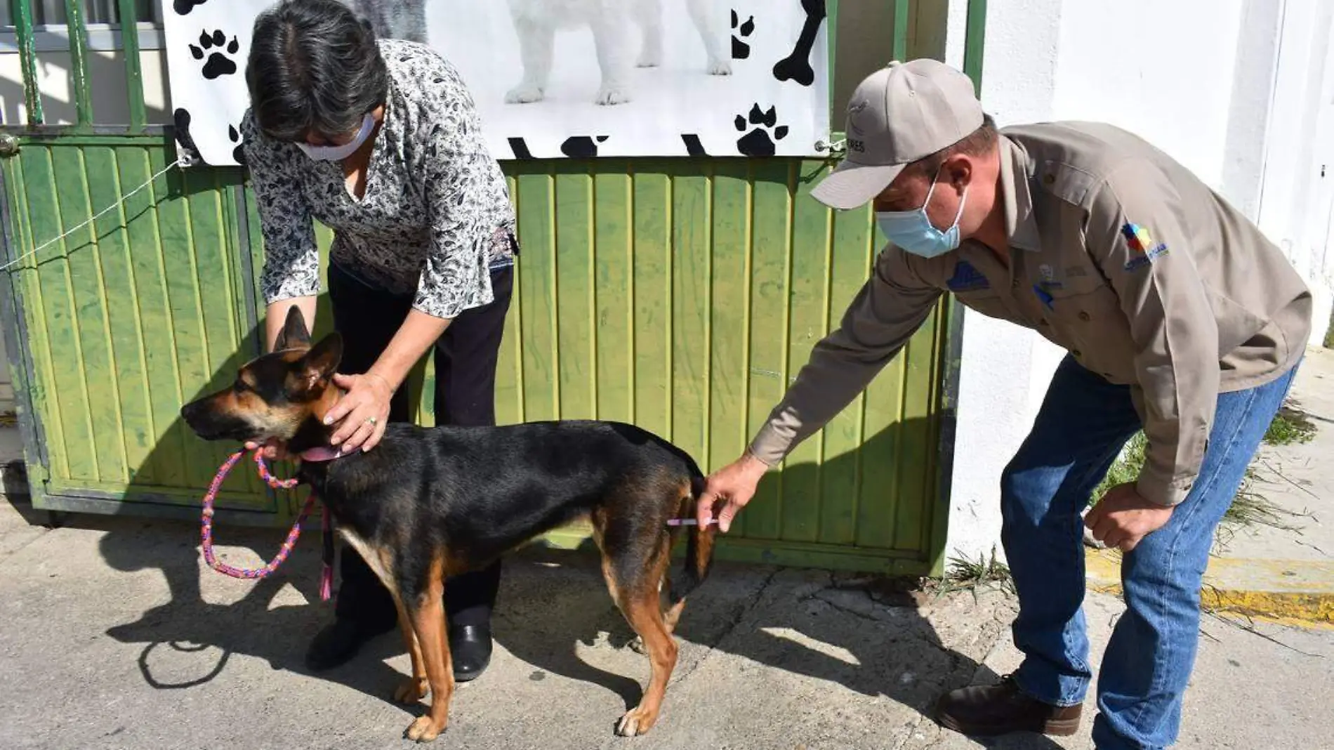 perros 7 nota de luis